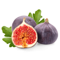 Fig