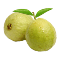 Guava